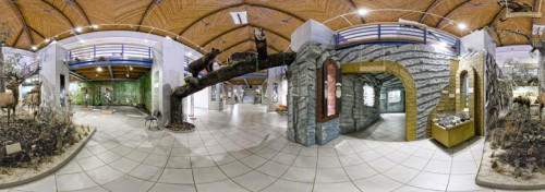 Természettudományi Múzeum