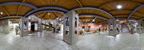 Természettudományi Múzeum