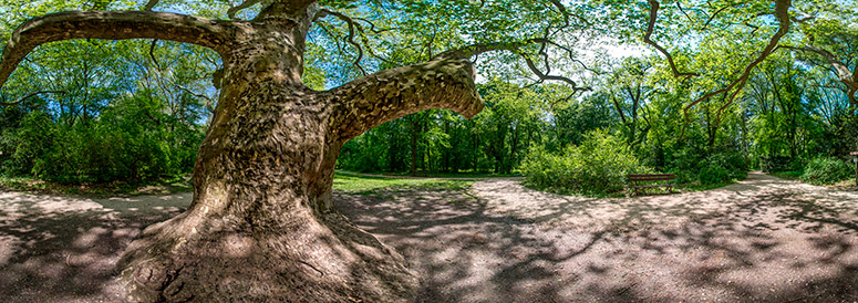 Alcsutdoboz Arborétum